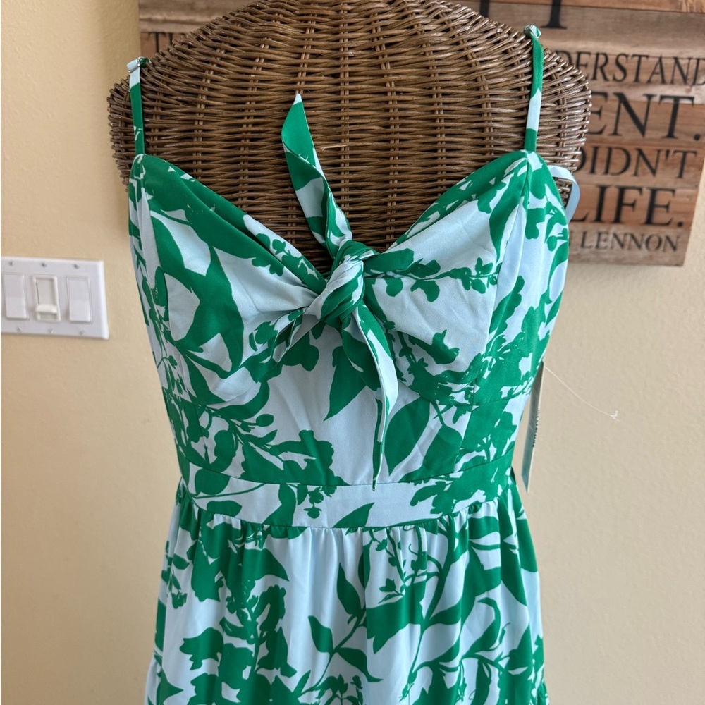 Eliza J Green and White Floral Maxi Dress - Picture 11 of 11